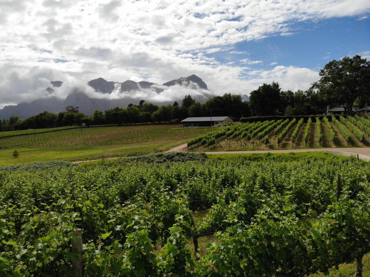 ステレンボッシュ Le Pommier Wine Estateヴィラ エクステリア 写真
