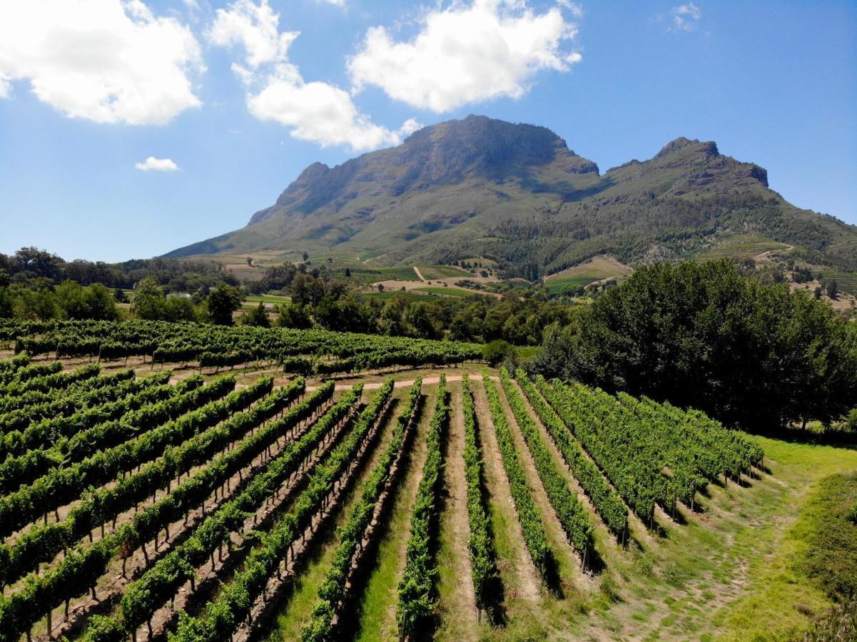 ステレンボッシュ Le Pommier Wine Estateヴィラ エクステリア 写真